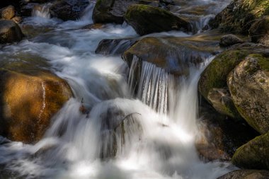 Umhausen 'deki Stuibenfall yakınlarındaki ormanda güzel bir şelale.