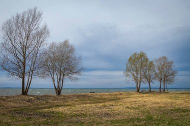 Göl kıyısının güzel manzarası