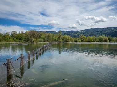 Avusturya ile Almanya arasındaki sınırda Constanze Gölü boyunca yürüyorum.