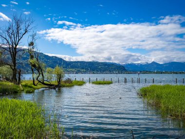 Alp dağlarındaki güzel göl manzarası