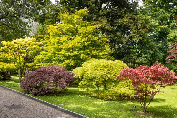 Verbania Piemont Talya Yerel Bir Dinlenme Alanında Dinleniyor — Stok fotoğraf