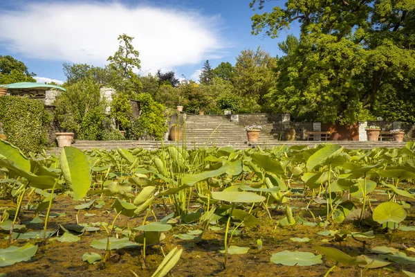 Verbania Piemont Talya Yerel Bir Dinlenme Alanında Dinleniyor — Stok fotoğraf