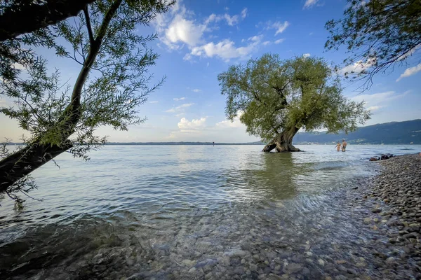 Pemandangan Indah Berwarna Warni Wocherhafen Danau Constance Vorarlberg Austria — Stok Foto