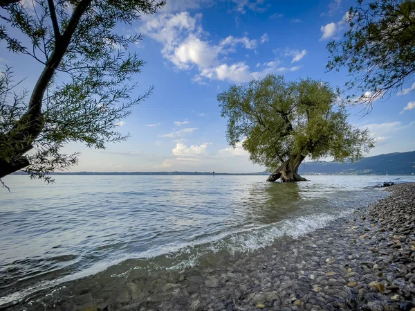 Pemandangan Indah Berwarna Warni Wocherhafen Danau Constance Vorarlberg Austria — Stok Foto