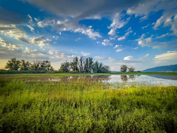 Merveilleux Paysages Colorés Wocherhafen Lac Constance Vorarlberg Autriche — Photo