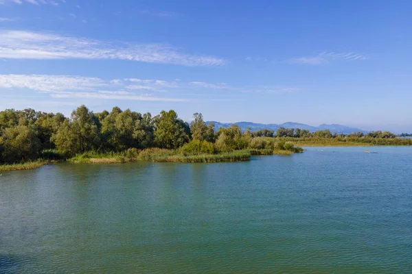 Détente Loisirs Wocherhafen Embouchure Bregenzerache Lac Constance Autriche — Photo