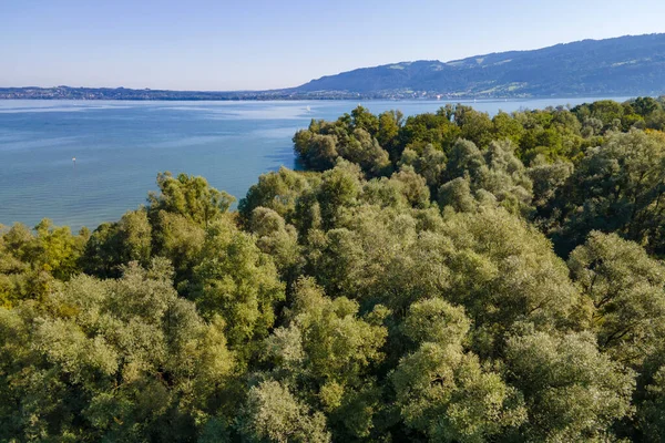 Relaksasi Dan Rekreasi Wocherhafen Dan Mulut Bregenzerache Danau Constance Austria — Stok Foto