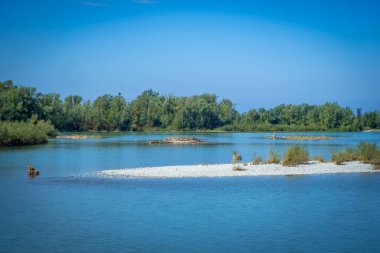 Avusturya, Constance Gölü 'ndeki Bregenzerache' de harika bir doğa.