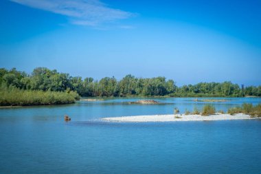 Avusturya, Constance Gölü 'ndeki Bregenzerache' de harika bir doğa.