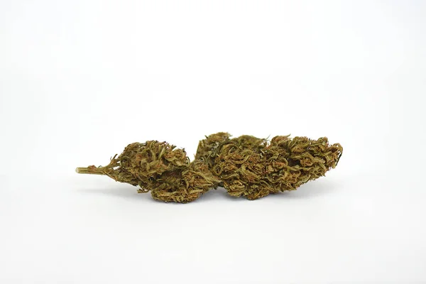 Fleur Sèche Marijuana Médicale Sur Fond Blanc Variété Mooje — Photo