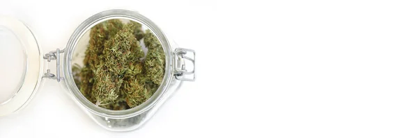 CBD çiçek saksısı ve beyaz arkaplanı olan pankart