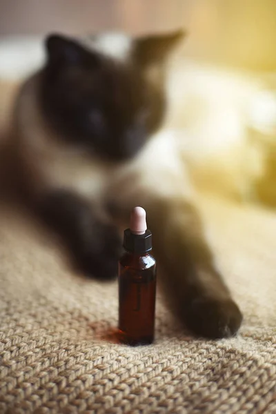 CBD hemp oil dropper for cats, selective focus and out-of-focus background