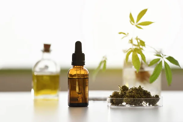 Tohumları, çiçekleri ve odaklanmamış kenevir bitkileriyle dolu cbd yağ kabı laboratuarı.