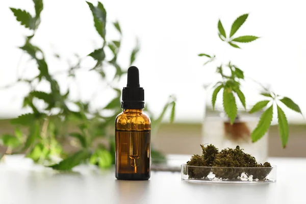 Kenevir bitkileri ve kurumuş çiçeklerle doğal arka planı olan CBD yağ kutusu.
