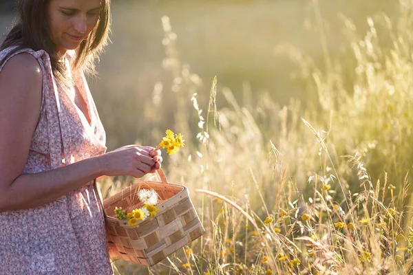 Kobieta Zbierająca Kwiaty Wiklinowym Koszem Letniej Łące — Zdjęcie stockowe