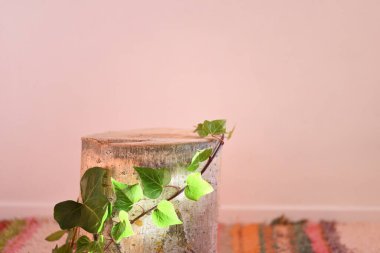 Kesik ağaç gövdesi ve sarmaşıklı ev dekorasyonu, boşluğu kopyala