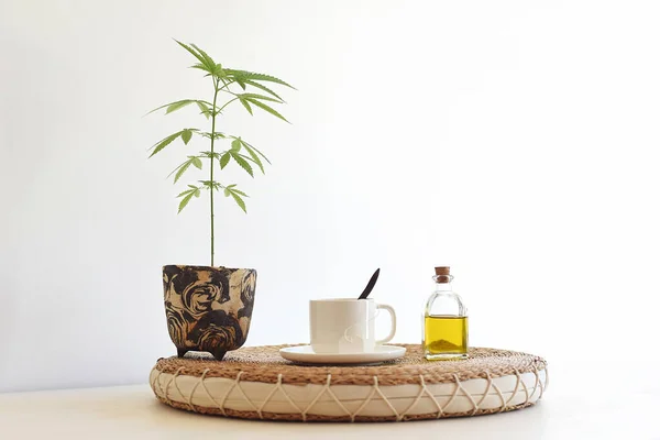 Stilleven Van Cbd Olie Met Natuurlijke Plant Doordrenkt Kopje Fles — Stockfoto