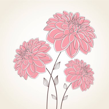 Çiçek arkaplan. Vektör çiçek yıldız çiçeği. Tasarım elementi.