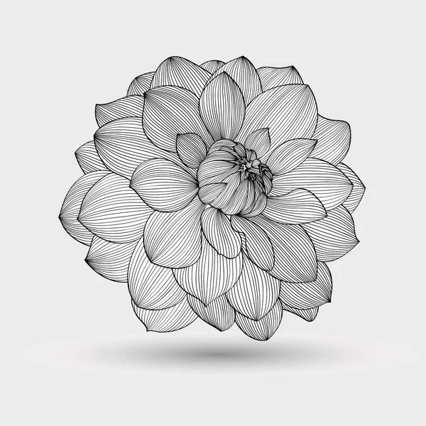 Soyut Çiçek Arkaplanı Vektör Çiçek Yıldız Çiçeği Tasarım Elementi — Stok Vektör