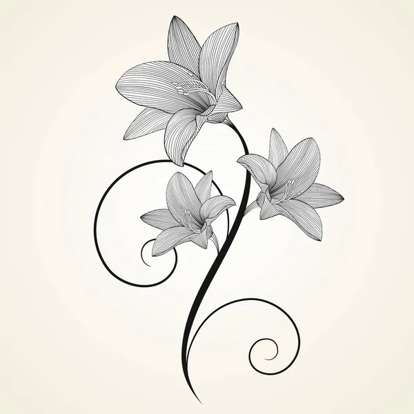 Floraler Hintergrund Schöner Rahmen Mit Blütenlilie Element Für Design — Stockvektor