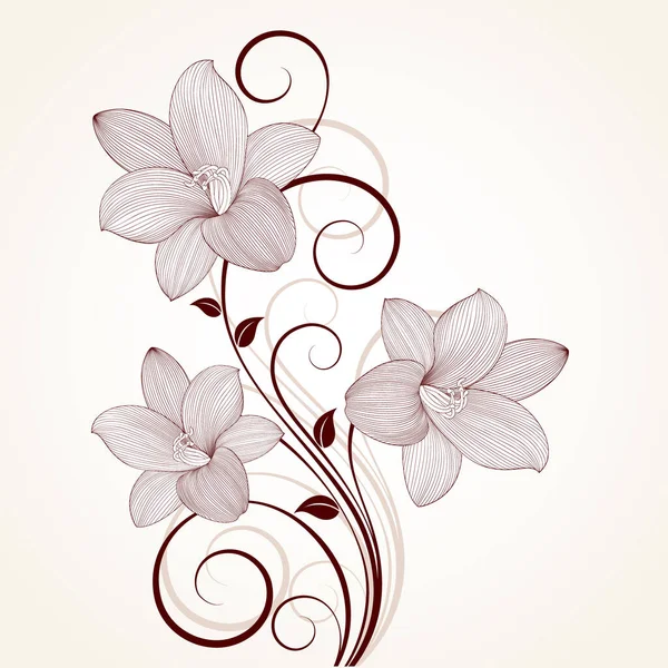 美丽的花背 花朵百合花 设计要素 — 图库矢量图片