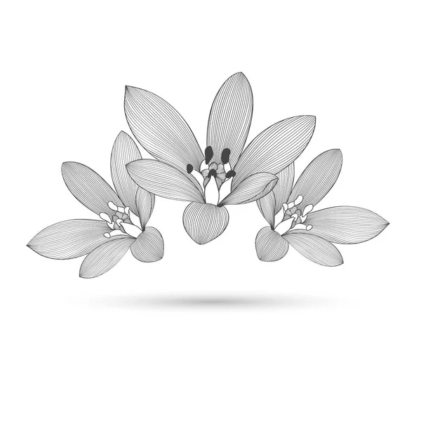 Χειροποίητο Αφηρημένο Floral Φόντο Στοιχείο Σχεδιασμού Εικονογράφηση Διανύσματος — Διανυσματικό Αρχείο