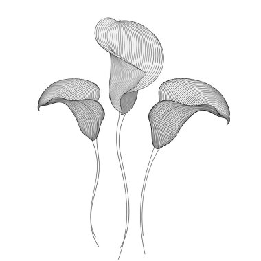 Çiçek tarlasıyla el çizimi. Tasarım elementi. Vektör illüstrasyonu.