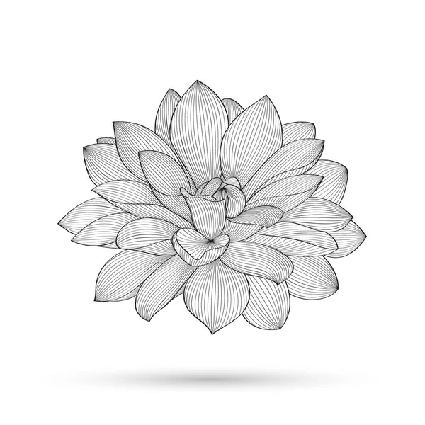 Αφηρημένο Φόντο Λουλουδιών Διάνυσμα Ντάλια Λουλουδιών Στοιχείο Σχεδιασμού — Διανυσματικό Αρχείο