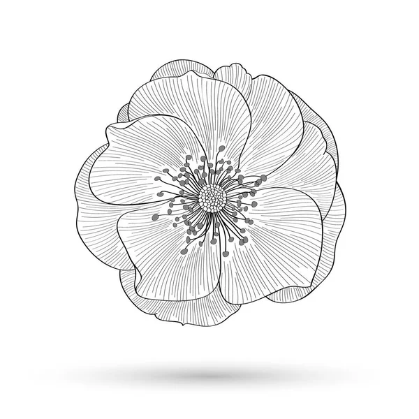 Αφηρημένο Φόντο Λουλουδιών Διάνυσμα Τριαντάφυλλο Στοιχείο Σχεδιασμού — Διανυσματικό Αρχείο