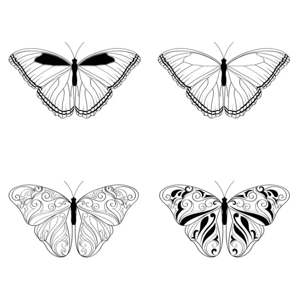 Papillon Ensemble Vectoriel Élément Conception — Image vectorielle