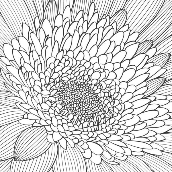 手绘花卉背景 向日葵的病媒 设计要素 矢量图形