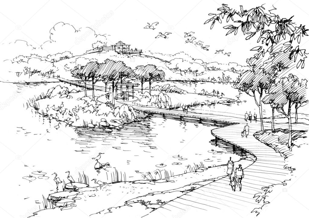 Lake in the park-line drawing