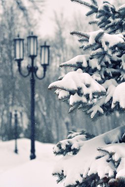 kar yağışı şehir