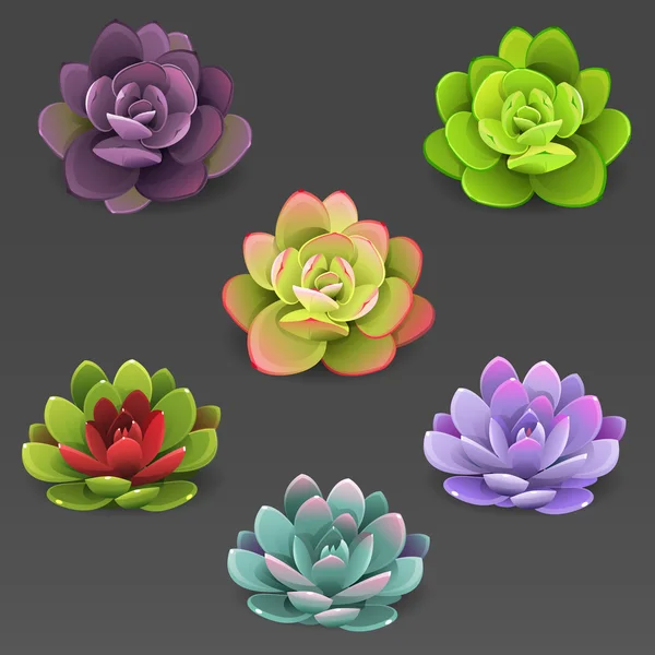 Set de cactus de color — Vector de stock
