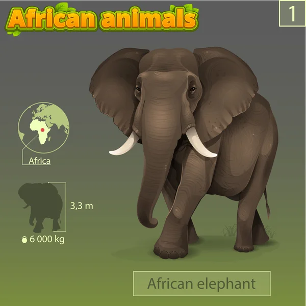 Color Elefante africano — Vector de stock