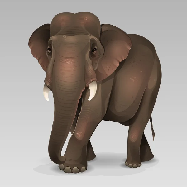 Éléphant indien 2 — Image vectorielle