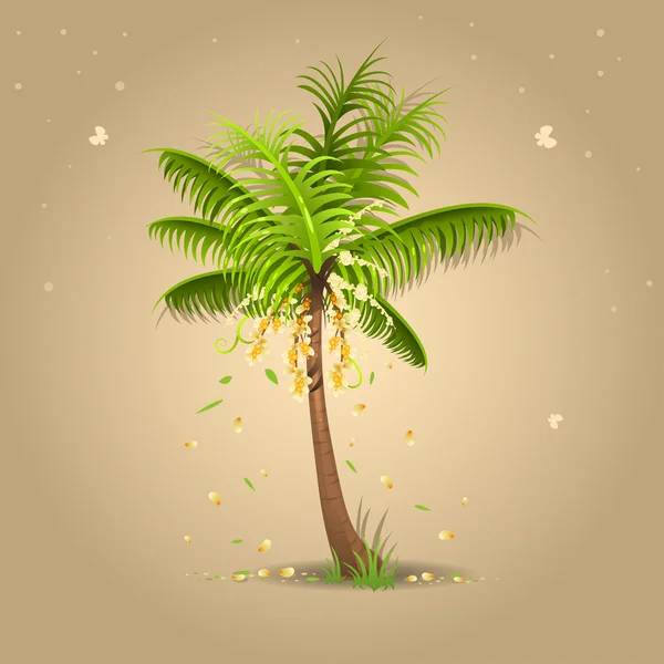 Palmera — Vector de stock