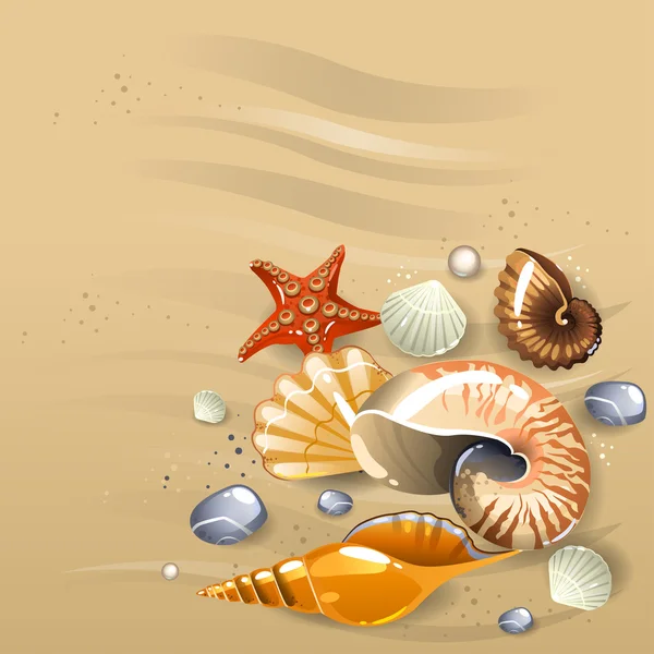Conchas marinas en la arena — Vector de stock