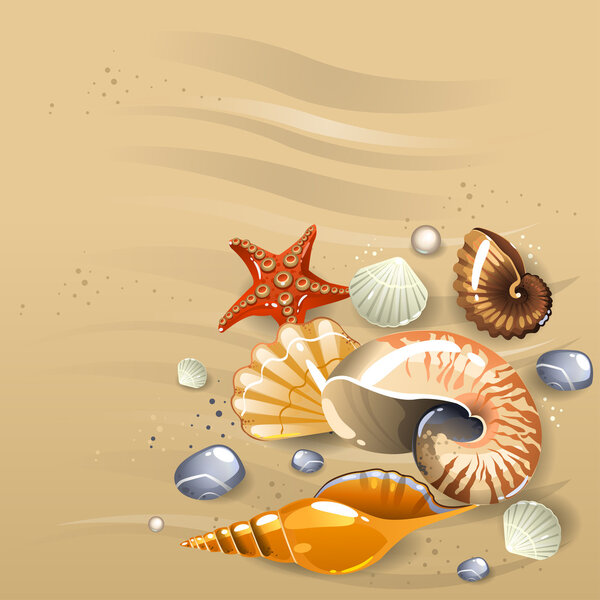 Seashells on the sand