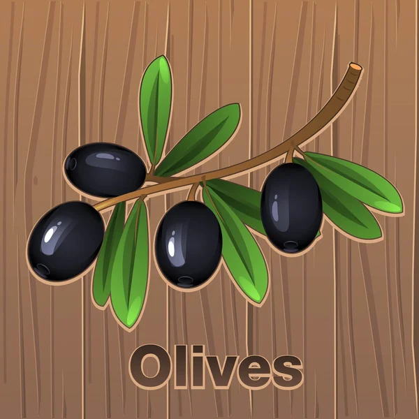 Black olives on a branch — Stock Vector