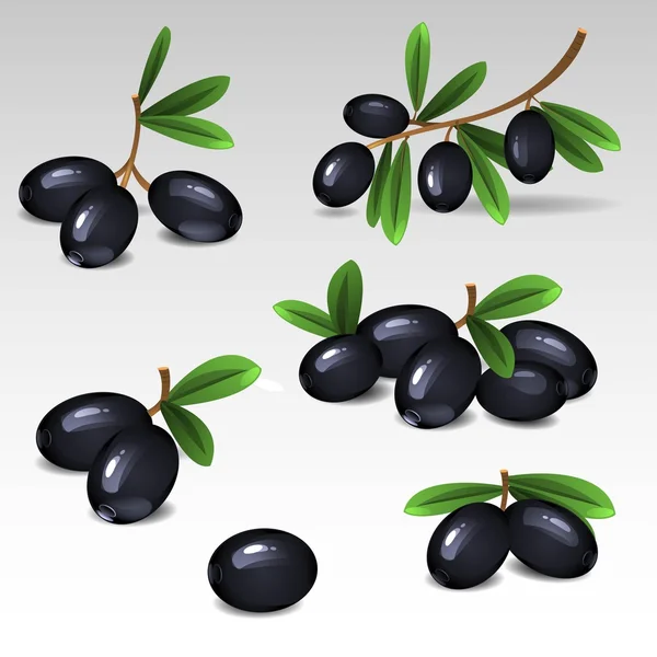 Black olives set2 — Stock Vector
