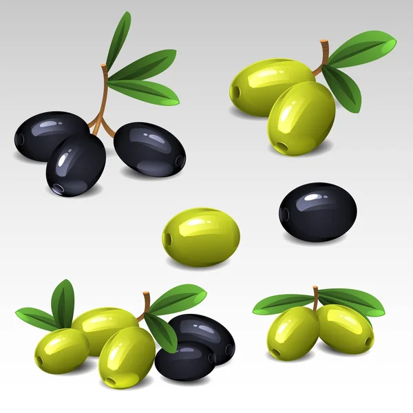 Black and green olives — Stock Vector