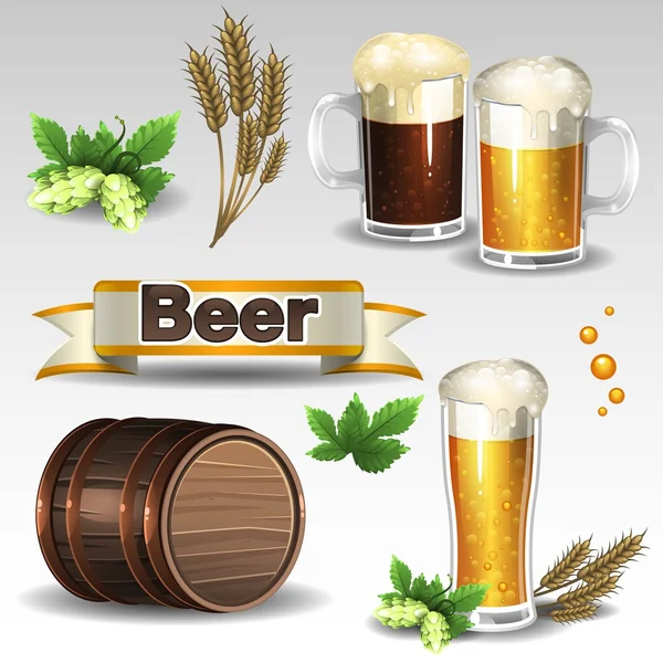 Beer set — Stock Vector