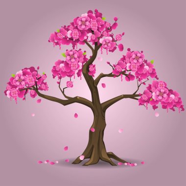 Japon sakura ağacı