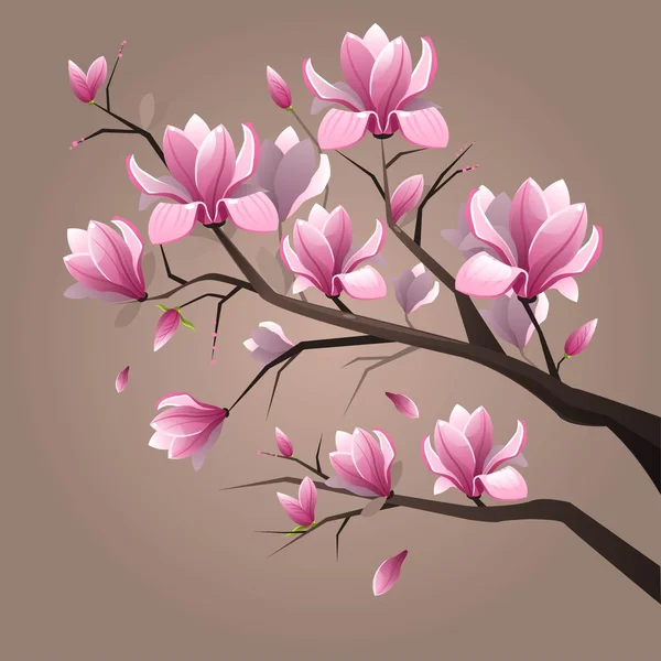 분홍색 목련 꽃 — 스톡 벡터