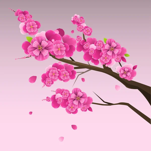 Japanska plum blossom 2 — Stock vektor