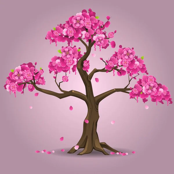 Sakura japonés árbol — Vector de stock