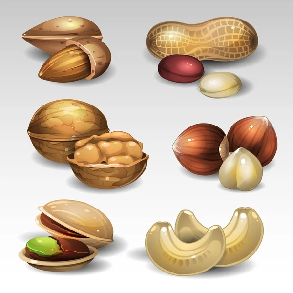 Set of nuts — Stock Vector