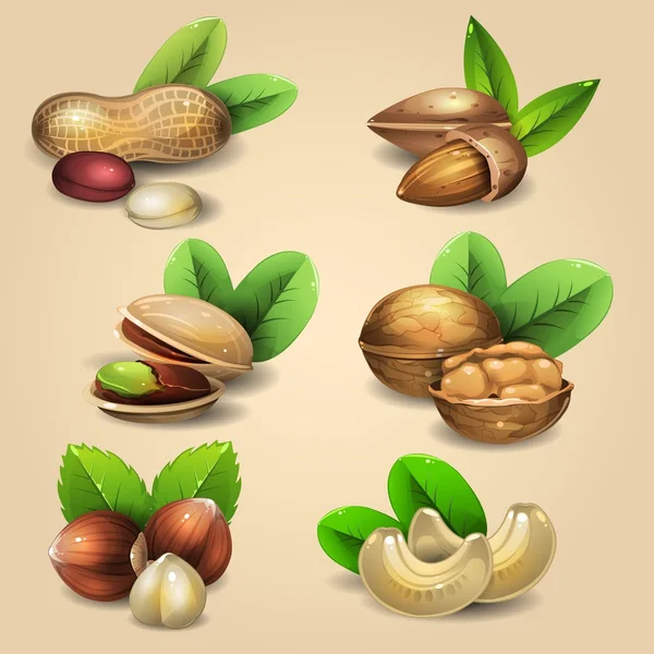 Set of nuts 5 — Stock Vector