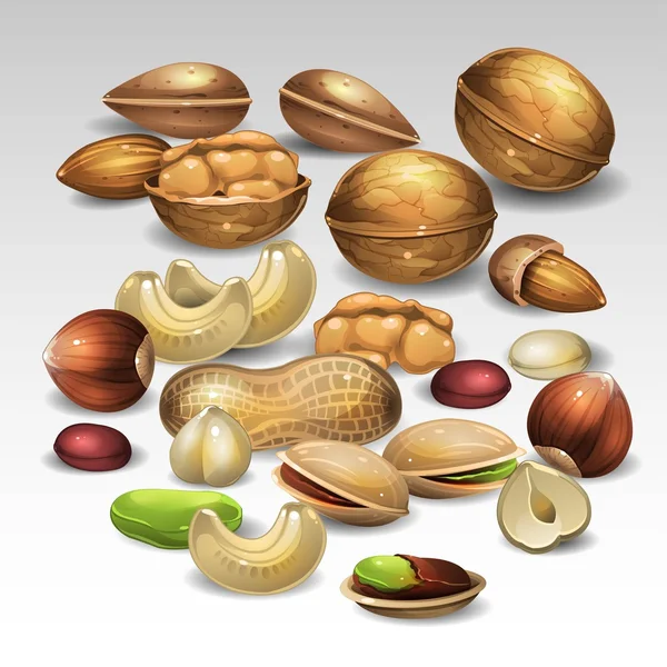 Mixed nuts — Stock Vector